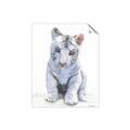 Picture of White Tiger Cub _GroupedProduct_Rectangle_Portrait_Mini_ _GroupedProduct_Rectangle_Portrait_Unframed_Print_Only_