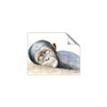 Picture of Sleeping Monkey _GroupedProduct_Rectangle_Landscape_Mini_ _GroupedProduct_Rectangle_Landscape_Unframed_Print_Only_