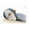 Picture of Sleeping Monkey _GroupedProduct_Rectangle_Landscape_Mini_ _GroupedProduct_Rectangle_Landscape_Unframed_Print_Only_
