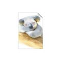Picture of Sleeping Koala I _GroupedProduct_Rectangle_Portrait_Mini_ _GroupedProduct_Rectangle_Portrait_Unframed_Print_Only_