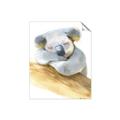 Picture of Sleeping Koala I _GroupedProduct_Rectangle_Portrait_Mini_ _GroupedProduct_Rectangle_Portrait_Unframed_Print_Only_