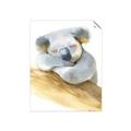 Picture of Sleeping Koala I _GroupedProduct_Rectangle_Portrait_Mini_ _GroupedProduct_Rectangle_Portrait_Unframed_Print_Only_