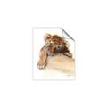 Picture of Sleeping Tiger _GroupedProduct_Rectangle_Portrait_Mini_ _GroupedProduct_Rectangle_Portrait_Unframed_Print_Only_