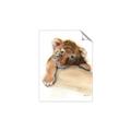Picture of Sleeping Tiger _GroupedProduct_Rectangle_Portrait_Mini_ _GroupedProduct_Rectangle_Portrait_Unframed_Print_Only_