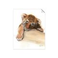 Picture of Sleeping Tiger _GroupedProduct_Rectangle_Portrait_Mini_ _GroupedProduct_Rectangle_Portrait_Unframed_Print_Only_