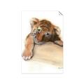 Picture of Sleeping Tiger _GroupedProduct_Rectangle_Portrait_Mini_ _GroupedProduct_Rectangle_Portrait_Unframed_Print_Only_
