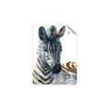 Picture of Sleeping Zebra _GroupedProduct_Rectangle_Portrait_Mini_ _GroupedProduct_Rectangle_Portrait_Unframed_Print_Only_