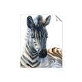 Picture of Sleeping Zebra _GroupedProduct_Rectangle_Portrait_Mini_ _GroupedProduct_Rectangle_Portrait_Unframed_Print_Only_