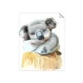Picture of Sleeping Koala II  _GroupedProduct_Rectangle_Portrait_Mini_ _GroupedProduct_Rectangle_Portrait_Unframed_Print_Only_