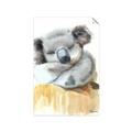 Picture of Sleeping Koala II  _GroupedProduct_Rectangle_Portrait_Mini_ _GroupedProduct_Rectangle_Portrait_Unframed_Print_Only_