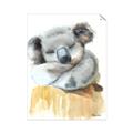 Picture of Sleeping Koala II  _GroupedProduct_Rectangle_Portrait_Mini_ _GroupedProduct_Rectangle_Portrait_Unframed_Print_Only_