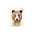 Picture of Beary _GroupedProduct_Rectangle_Portrait_Mini_ _GroupedProduct_Rectangle_Portrait_Unframed_Print_Only_