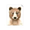 Picture of Beary _GroupedProduct_Rectangle_Portrait_Mini_ _GroupedProduct_Rectangle_Portrait_Unframed_Print_Only_