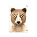 Picture of Beary _GroupedProduct_Rectangle_Portrait_Mini_ _GroupedProduct_Rectangle_Portrait_Unframed_Print_Only_