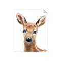 Picture of Deery _GroupedProduct_Rectangle_Portrait_Mini_ _GroupedProduct_Rectangle_Portrait_Unframed_Print_Only_