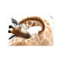 Picture of Sleeping Giraffe _GroupedProduct_Rectangle_Landscape_Mini_ _GroupedProduct_Rectangle_Landscape_Unframed_Print_Only_
