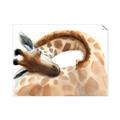 Picture of Sleeping Giraffe _GroupedProduct_Rectangle_Landscape_Mini_ _GroupedProduct_Rectangle_Landscape_Unframed_Print_Only_