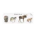 Picture of Woodland Animal Row _GroupedProduct_Panel_Landscape_Mini_ _GroupedProduct_Panel_Landscape_Unframed_Print_Only_