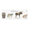Picture of Woodland Animal Row _GroupedProduct_Panel_Landscape_Mini_ _GroupedProduct_Panel_Landscape_Unframed_Print_Only_