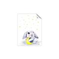 Picture of Moon Bunny  _GroupedProduct_Rectangle_Portrait_Mini_ _GroupedProduct_Rectangle_Portrait_Unframed_Print_Only_
