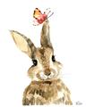 Picture of Butterfly Bunny _GroupedProduct_Rectangle_Portrait_Mini_ _GroupedProduct_Rectangle_Portrait_Unframed_Print_Only_