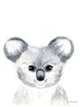 Picture of Koala Face _GroupedProduct_Rectangle_Portrait_Mini_ _GroupedProduct_Rectangle_Portrait_Unframed_Print_Only_