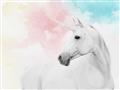 Picture of Sophisticated Unicorn  _GroupedProduct_Rectangle_Landscape_Unframed_Print_Only_