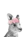 Picture of Kangaroo with floral _GroupedProduct_Rectangle_Portrait_Mini_ _GroupedProduct_Rectangle_Portrait_Unframed_Print_Only_