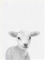 Picture of Farmhouse Sheep _GroupedProduct_Rectangle_Portrait_Mini_ _GroupedProduct_Rectangle_Portrait_Unframed_Print_Only_