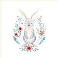 Picture of Wild Bunny _GroupedProduct_Square_Mini_ _GroupedProduct_Square_Unframed_Print_Only_