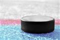 Picture of Hockey Puck  _GroupedProduct_Rectangle_Landscape_Mini_ _GroupedProduct_Rectangle_Landscape_Unframed_Print_Only_