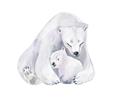 Picture of Polar Bear Mom and Baby _GroupedProduct_Rectangle_Landscape_Mini_ _GroupedProduct_Rectangle_Landscape_Unframed_Print_Only_