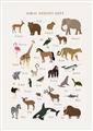 Picture of Animal Alphabet _GroupedProduct_Rectangle_Portrait_Unframed_Print_Only_