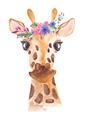 Picture of Squishy Giraffe _GroupedProduct_Rectangle_Portrait_Mini_ _GroupedProduct_Rectangle_Portrait_Unframed_Print_Only_