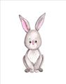Picture of Small Bunny _GroupedProduct_Rectangle_Portrait_Mini_ _GroupedProduct_Rectangle_Portrait_Unframed_Print_Only_