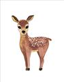 Picture of Small Deer _GroupedProduct_Rectangle_Portrait_Mini_ _GroupedProduct_Rectangle_Portrait_Unframed_Print_Only_