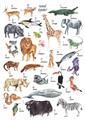 Picture of Animals of the World Alphabet      _GroupedProduct_Rectangle_Portrait_Canvas_