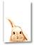 Picture of Pop up bunny