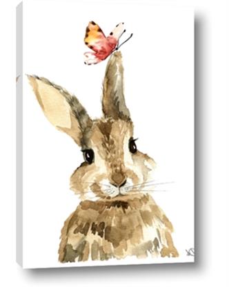 Picture of Butterfly Bunny