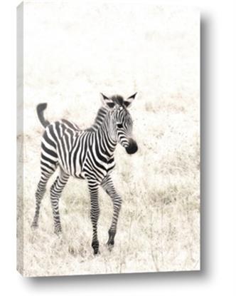 Picture of Summer Zebra