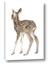 Picture of Behind Deer