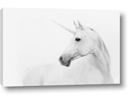 Picture of Sophisticated Unicorn neutral