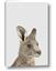 Picture of Kangaroo
