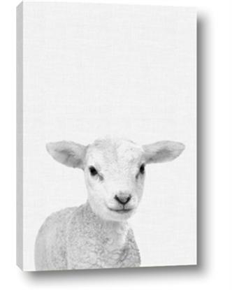 Picture of Farmhouse Sheep