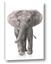 Picture of In Front Elephant