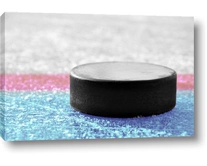 Picture of Hockey Puck in the Zone