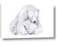Picture of Polar Bear Mom and Baby