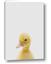 Picture of Baby Duck