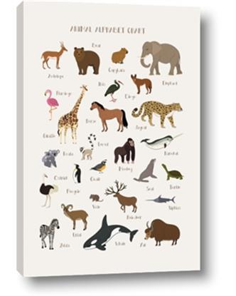 Picture of Animal Alphabet
