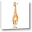 Picture of Standing Tall Giraffe